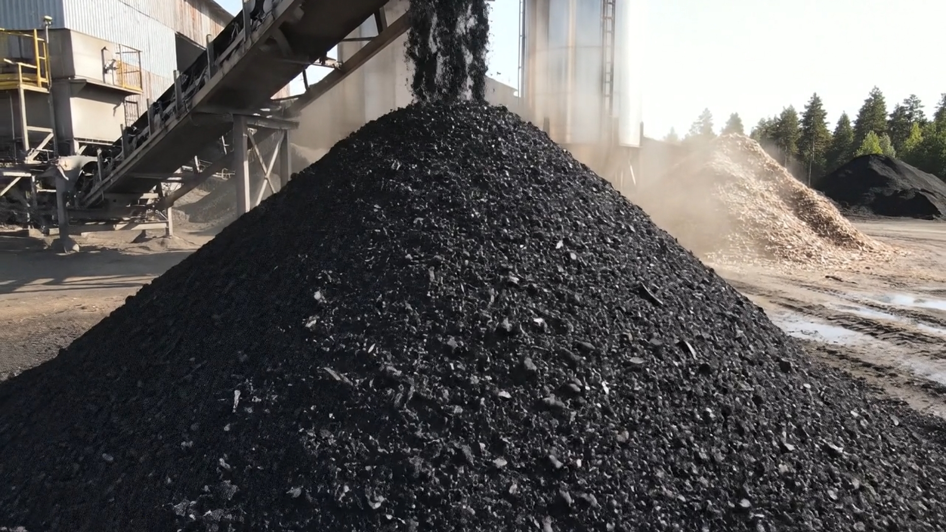 Gros plan sur le biochar brut fraîchement produit : texture granuleuse noire