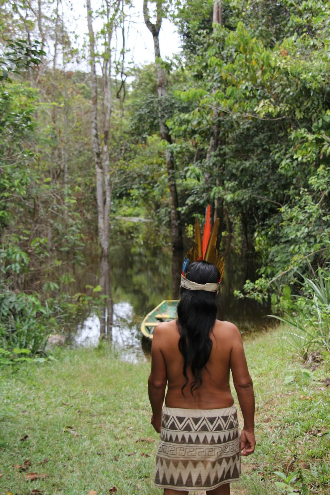 Sol noir fertile d'Amazonie près d'Iquitos montrant la richesse de la Terra Preta